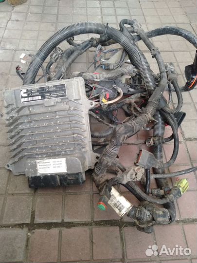 На Газель Блок управления проводка камминз 2,8