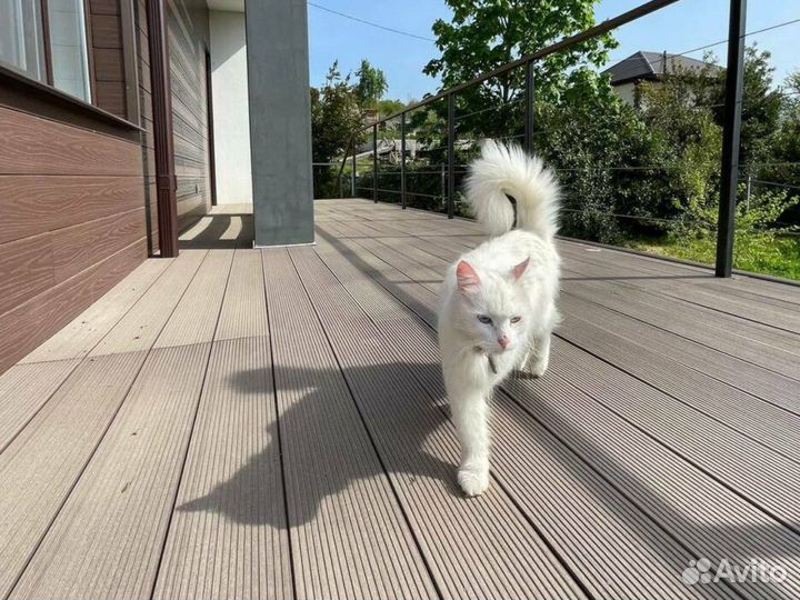 Террасная доска дпк