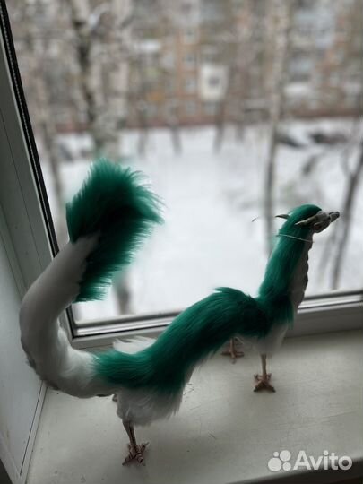 Дракон Хаку