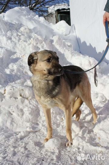Октавию выкинули на мороз щенком