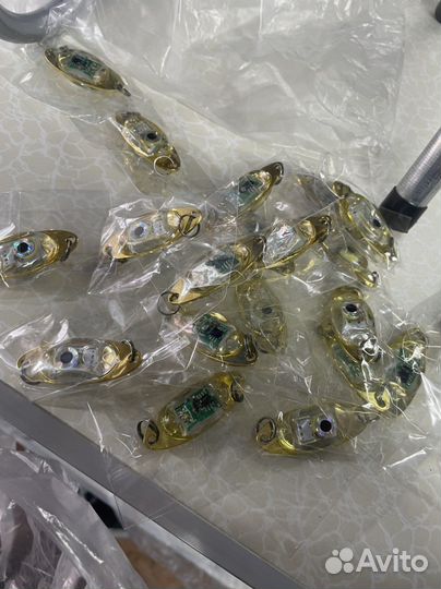 Моргалка на омуля