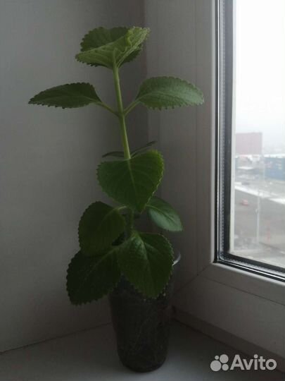 Кухонный набор нержавейка