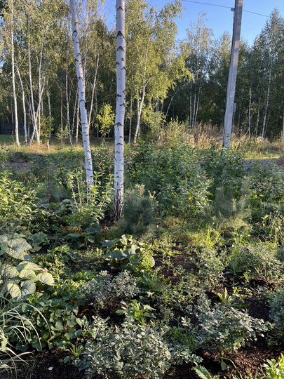 Участок 9 сот. (ИЖС)