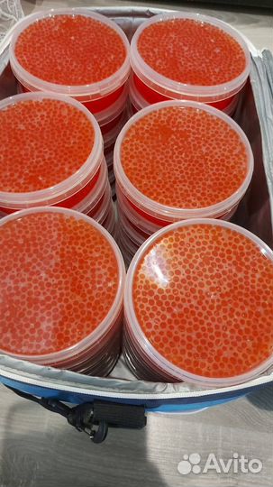 Икра красная 2023 премиум