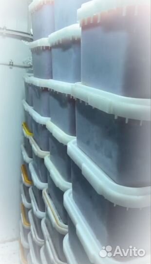 Икра красная кета опт / розница