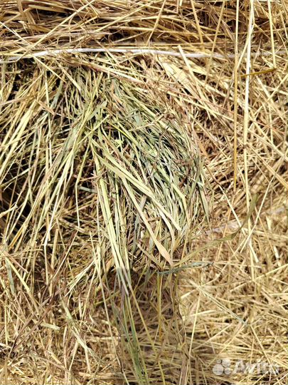 Сено в рулонах (350 кг)