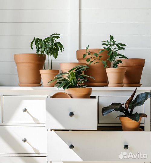 Кашпо/горшок на 8 марта