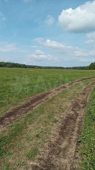 Участок 5 га (СНТ, ДНП)