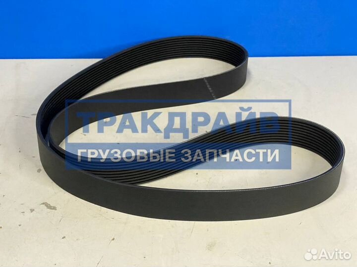 Ремень поликлиновой грузовиков Ман 10x1570