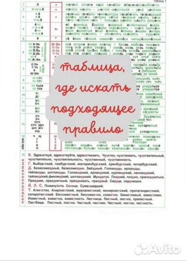 Наталья Пятибратова «русский язык без правил»