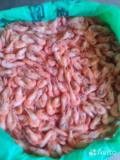 Креветка усик отварная крупная