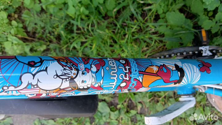 Велосипед Scott contessa