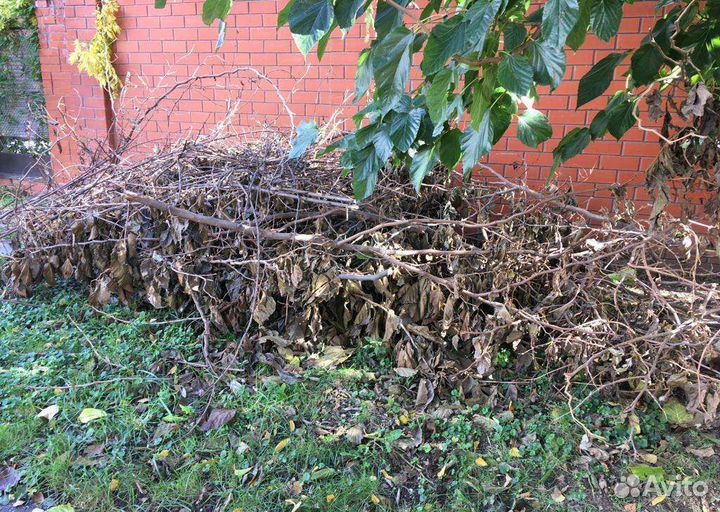 Вывоз мусора