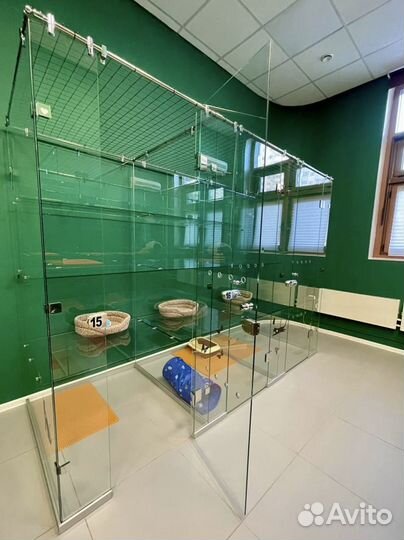 Зоогостиница для кошек, передержка кошек