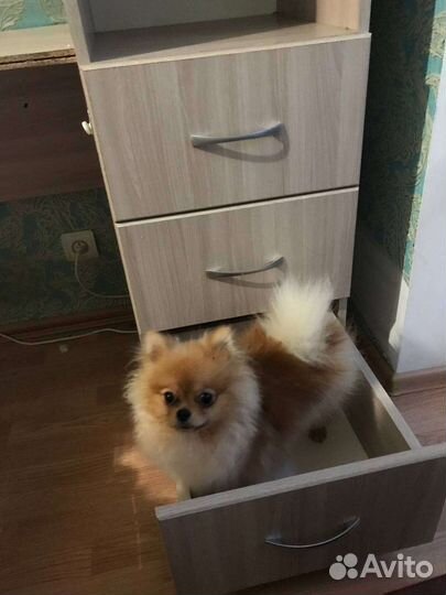 Письменный стол с ящиками и полками