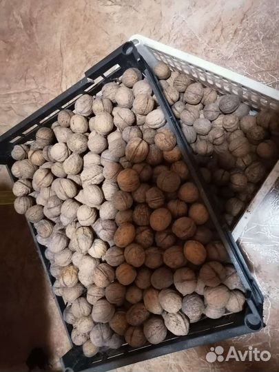 Корм для питомца(грызунчиков)