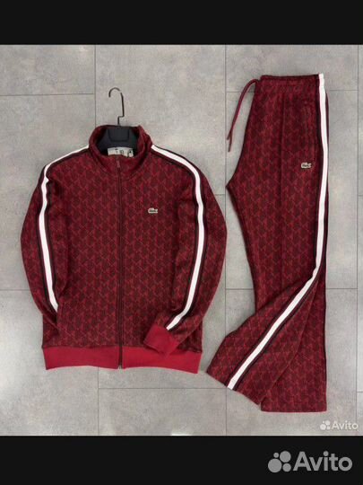 Спортивный костюм lacoste