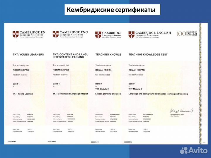 Репетитор по английскому языку для взрослых