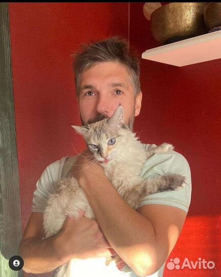 Сборка мебели. Сборщик/разборщик