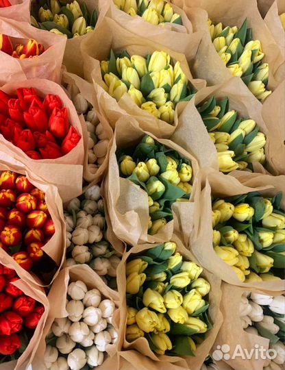 Тюльпаны на 8 марта оптом