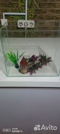 Аквариум