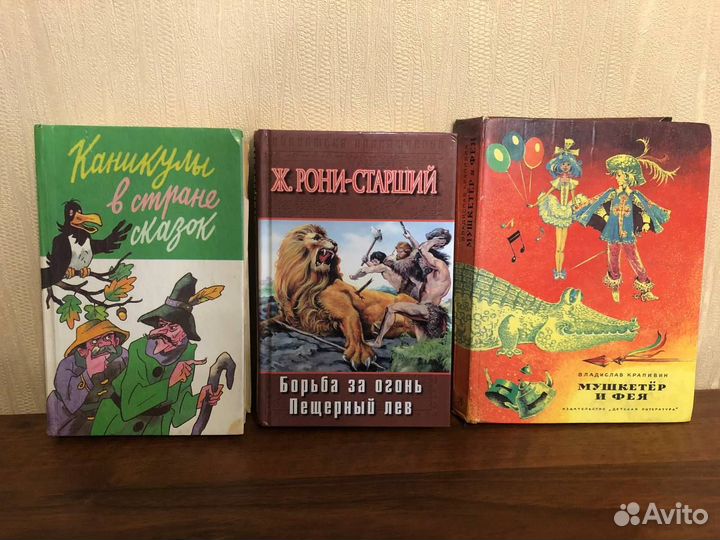 3 книги Мушкетер и Фея, Борьба за огонь и
