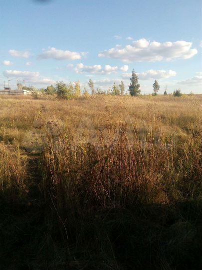 Участок 12 сот. (СНТ, ДНП)