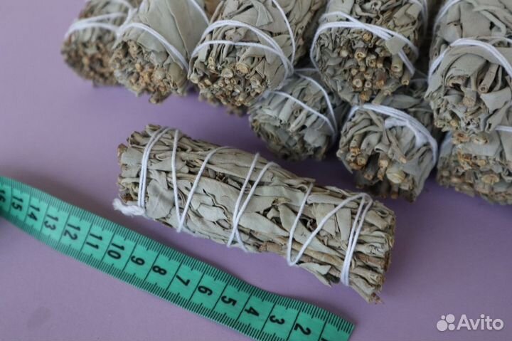 Шалфей Белый от 20шт опт для Озон