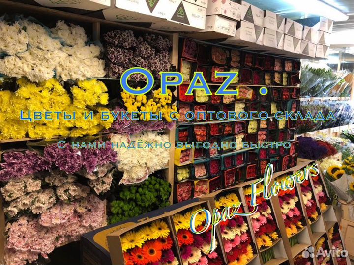 101 роза 70см Цветы Букеты Доставка