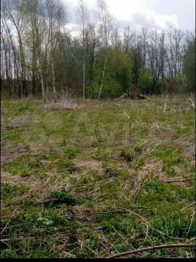 Участок 33 сот. (СНТ, ДНП)