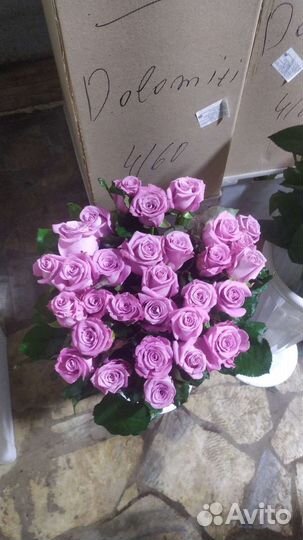 Букет из роз