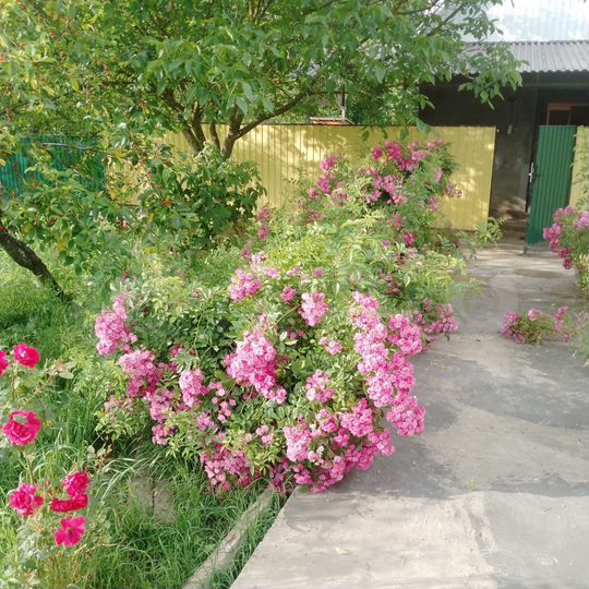 Дом 75 м² на участке 18 сот.