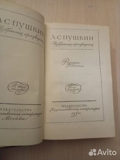 Пушкин. Избранные произведения в двух томах