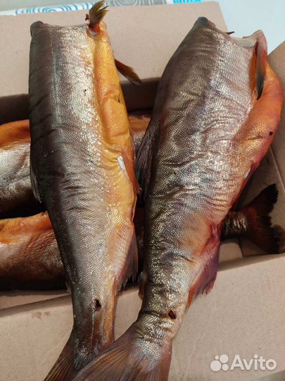 Рыба на дом