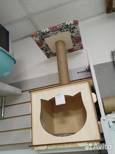 Товары для кошек