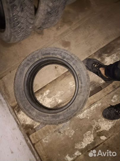 Bridgestone Blizzak DM-V1 185/60 R15 24G