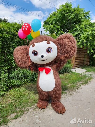 Поздравление выписка зайка аниматор кукла