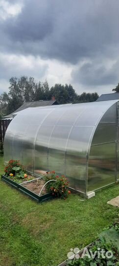 Теплицы с усиленным каркасом