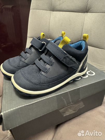 Ессо biom ботинки