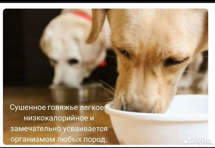 Погрызушки лакомство для хвостиков