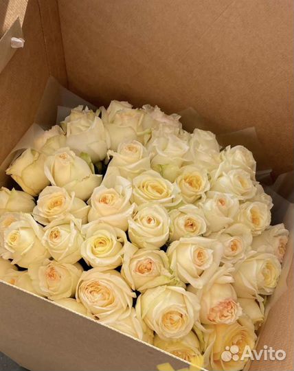 Пионовидные розы