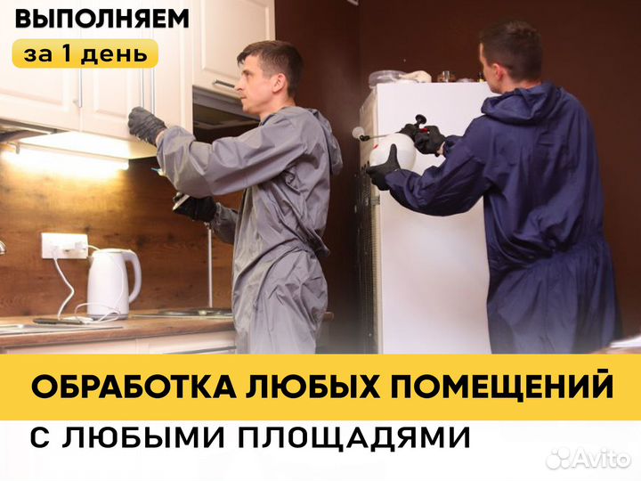 Уничтожение тараканов, клопов, запахов, дератизаци