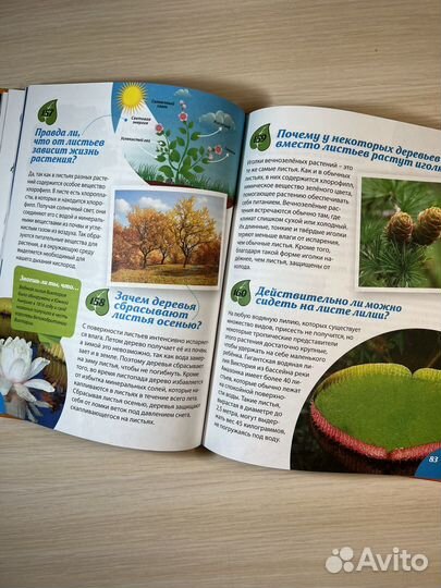 Детская энциклопедия