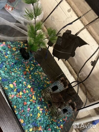 Аквариум 25 л