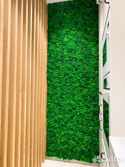 Панели панно фитостены мох стабилизированный