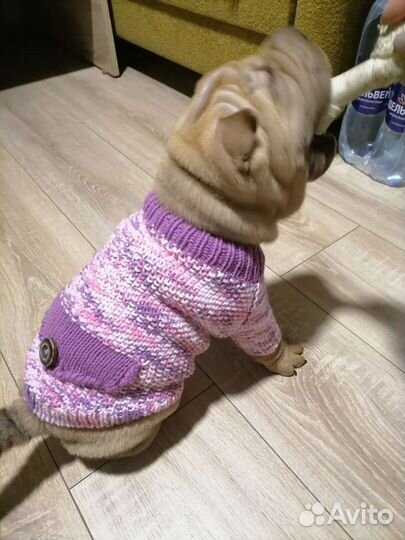 Одежда для маленьких собак большой выбор