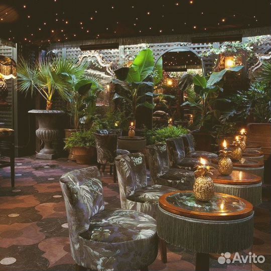 Готовый бизнес кофейня Балийская Идиллия