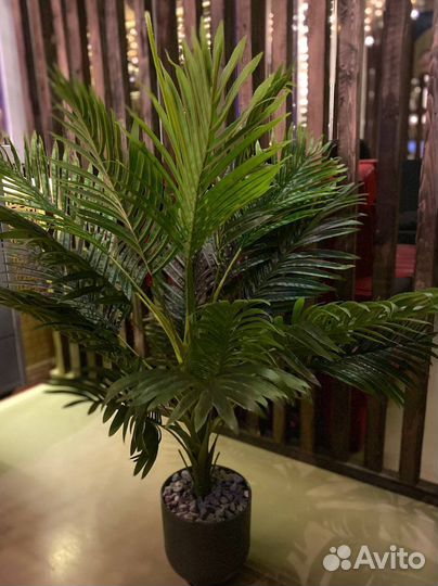 Финиковая пальма искуствФиниковая