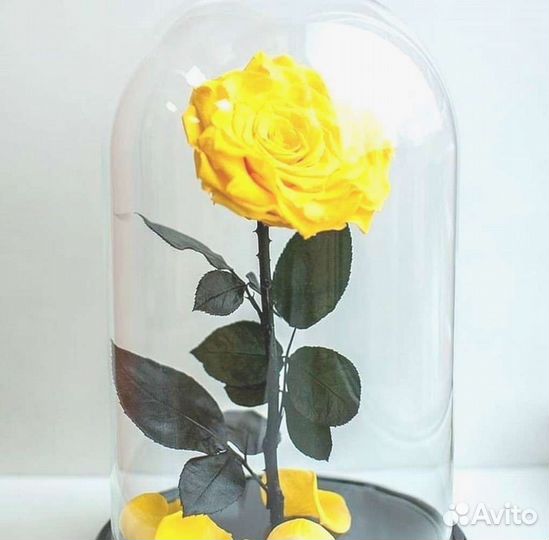 Роза в колбе. Любые размеры