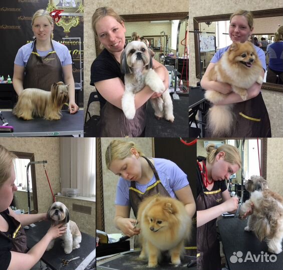 Груминг стрижка собак